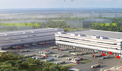 金諾冷鏈，見(jiàn)證大森速度